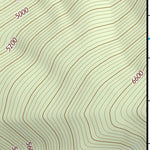 47113NW Page 79 Swan Peak Topo Preview 3