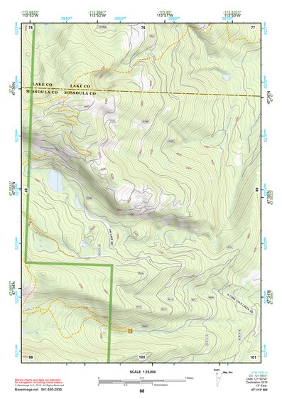 47113NW Page 88 Swan Peak Topo Preview 1