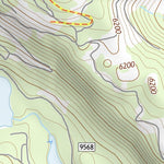 47113NW Page 88 Swan Peak Topo Preview 3