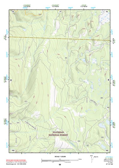 47113NW Page 89 Swan Peak Topo Preview 1