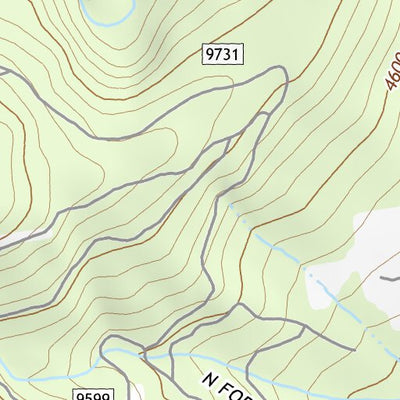47113NW Page 89 Swan Peak Topo Preview 3