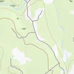 47113NW Page 90 Swan Peak Topo Preview 2