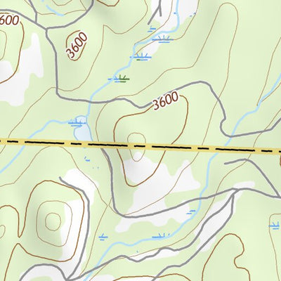 47113NW Page 90 Swan Peak Topo Preview 3