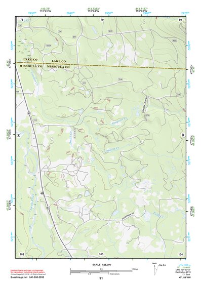 47113NW Page 91 Swan Peak Topo Preview 1