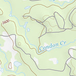 47113NW Page 91 Swan Peak Topo Preview 2