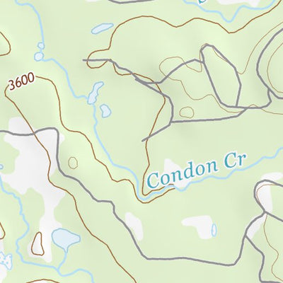 47113NW Page 91 Swan Peak Topo Preview 2