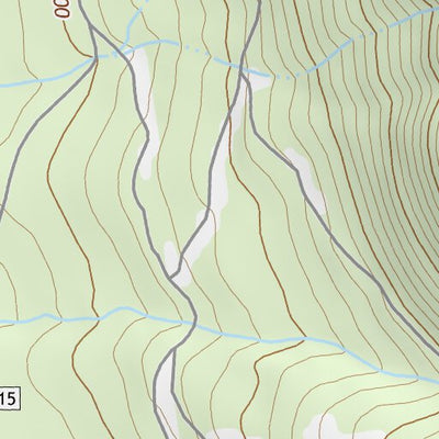 47113NW Page 92 Swan Peak Topo Preview 2