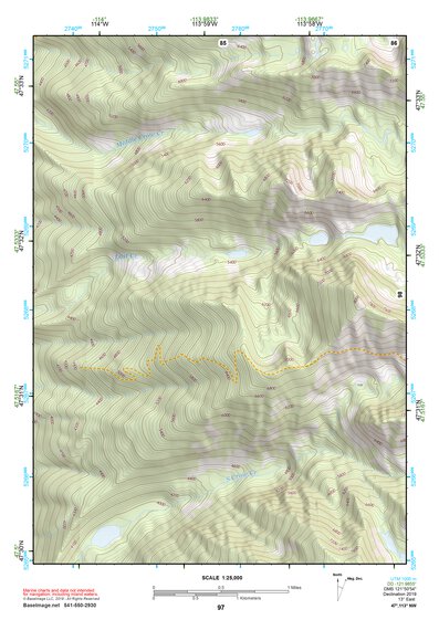 47113NW Page 97 Swan Peak Topo Preview 1