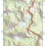 47113NW Page 98 Swan Peak Topo Preview 1
