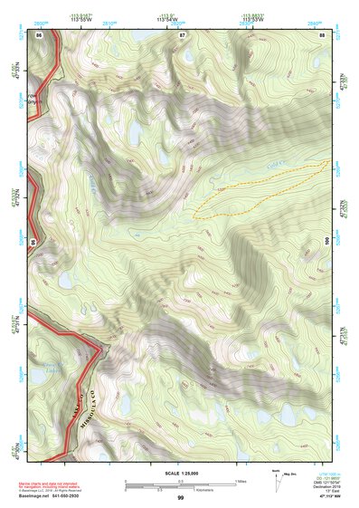 47113NW Page 99 Swan Peak Topo Preview 1