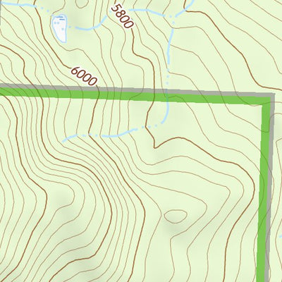 47113NW Page 100 Swan Peak Topo Preview 2