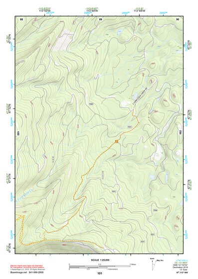 47113NW Page 101 Swan Peak Topo Preview 1