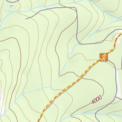 47113NW Page 101 Swan Peak Topo Preview 2