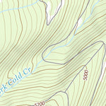 47113NW Page 101 Swan Peak Topo Preview 3