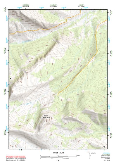 47113SE Page 5 Seeley Lake Topo Preview 1