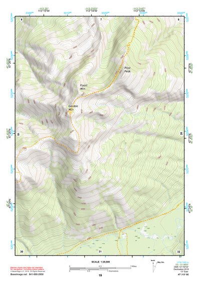 47113SE Page 19 Seeley Lake Topo Preview 1