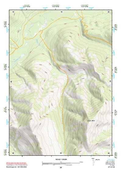 47113SE Page 31 Seeley Lake Topo Preview 1
