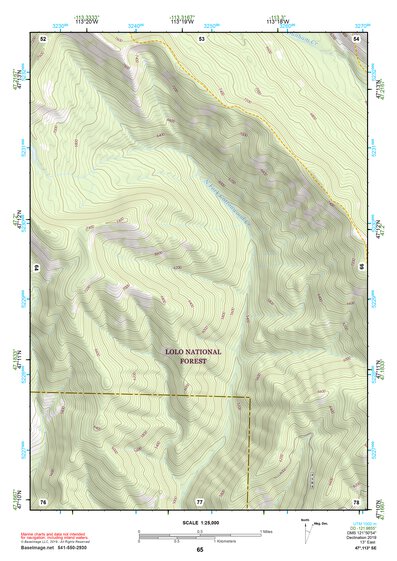 47113SE Page 65 Seeley Lake Topo Preview 1