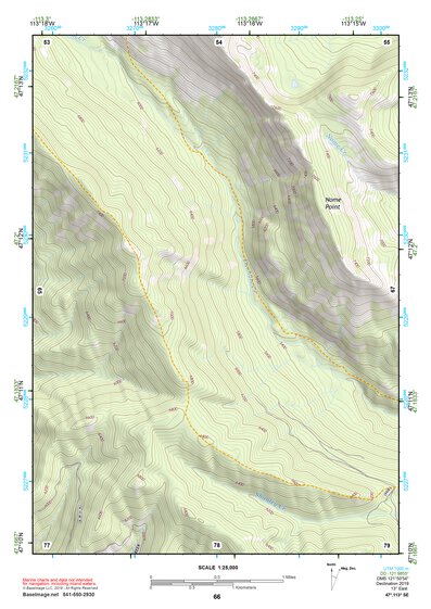 47113SE Page 66 Seeley Lake Topo Preview 1
