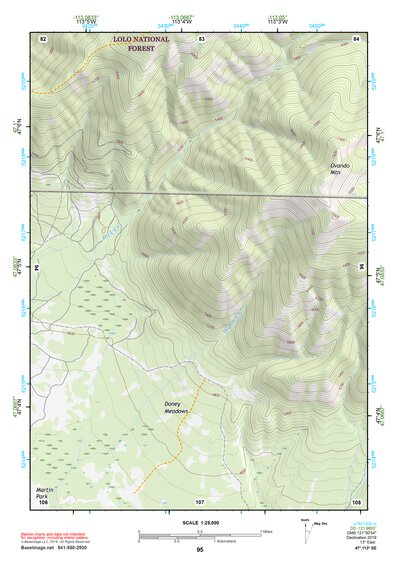 47113SE Page 95 Seeley Lake Topo Preview 1