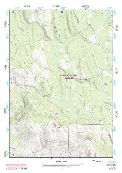 47113SW Page 71 Seeley Lake Topo Preview 1