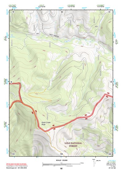 47113SW Page 92 Seeley Lake Topo Preview 1