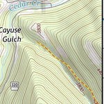 47115SE Page 84 Wallace Topo Preview 3