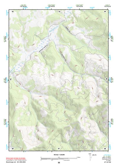 47116SW Page 55 Saint Maries Topo Preview 1