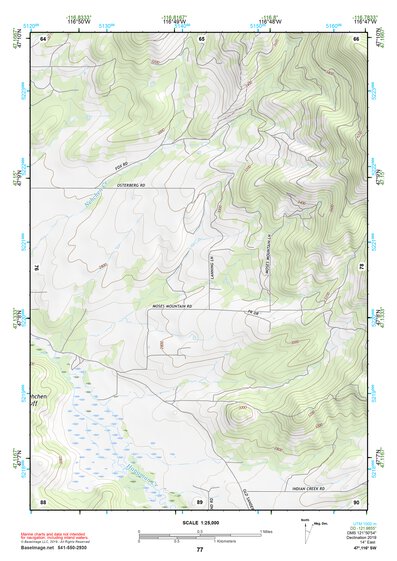 47116SW Page 77 Saint Maries Topo Preview 1
