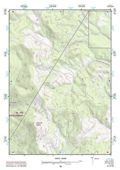 47116SW Page 79 Saint Maries Topo Preview 1