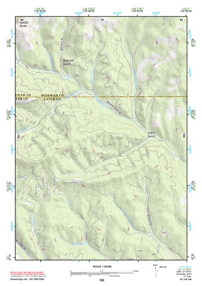 47116SW Page 103 Saint Maries Topo Preview 1
