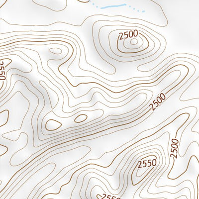 47117SE Page 14 Rosalia Topo Preview 2