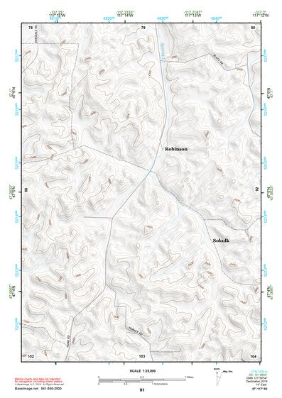 47117SE Page 91 Rosalia Topo Preview 1