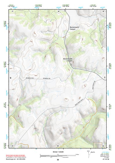 47118NE Page 30 Coulee Dam Topo Preview 1