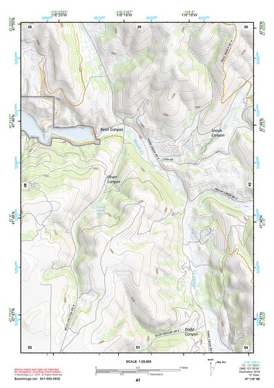 47118NE Page 41 Coulee Dam Topo Preview 1