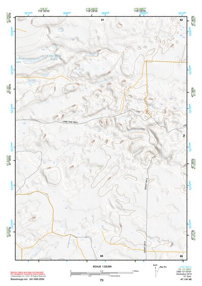 47118NE Page 73 Coulee Dam Topo Preview 1