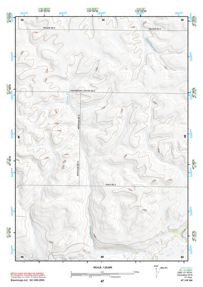 47118NW Page 47 Coulee Dam Topo Preview 1