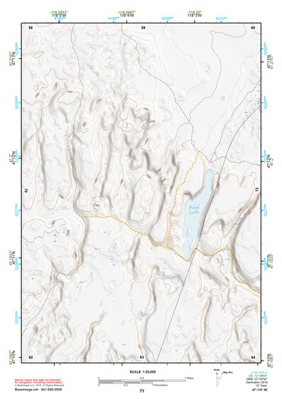 47118SE Page 71 Ritzville Topo Preview 1