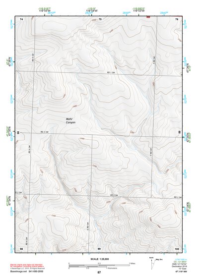 47119NW Page 87 Banks Lake Topo Preview 1