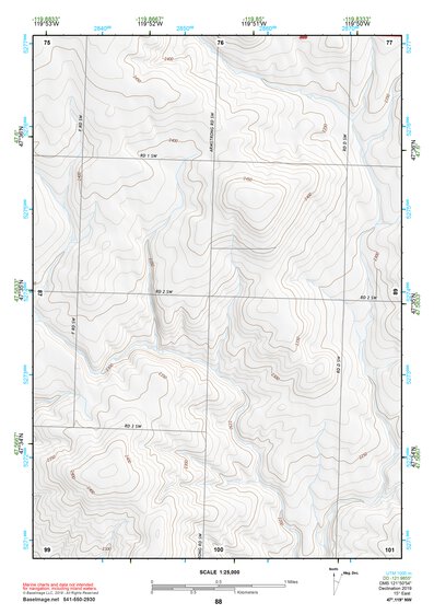 47119NW Page 88 Banks Lake Topo Preview 1
