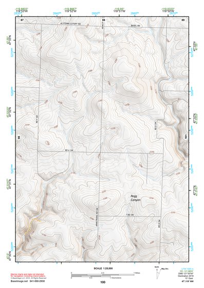 47119NW Page 100 Banks Lake Topo Preview 1