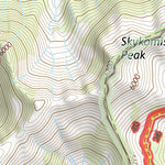 47121NE Page 9 Skykomish River Topo Preview 3
