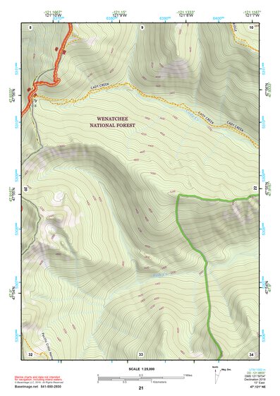 47121NE Page 21 Skykomish River Topo Preview 1