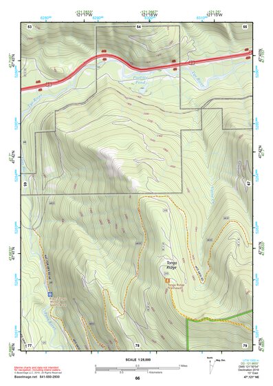 47121NE Page 66 Skykomish River Topo Preview 1