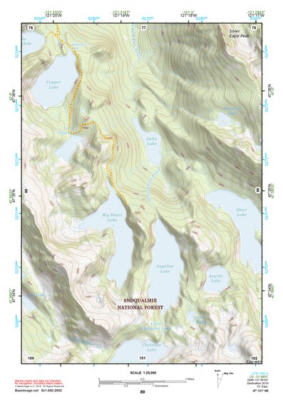 47121NE Page 89 Skykomish River Topo Preview 1