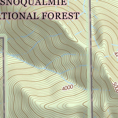 47121NW Page 11 Skykomish River Topo Preview 3
