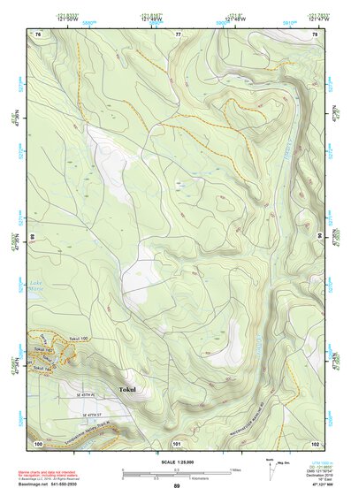 47121NW Page 89 Skykomish River Topo Preview 1