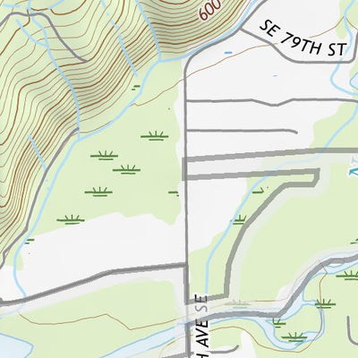 47121NW Page 102 Skykomish River Topo Preview 2