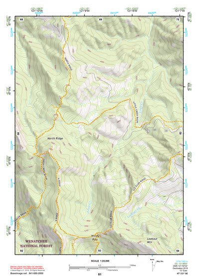47121SE Page 81 Snoqualmie Pass Topo Preview 1