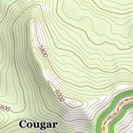 47121SE Page 100 Snoqualmie Pass Topo Preview 2